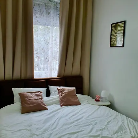 Zmaj 16 * Divčibare